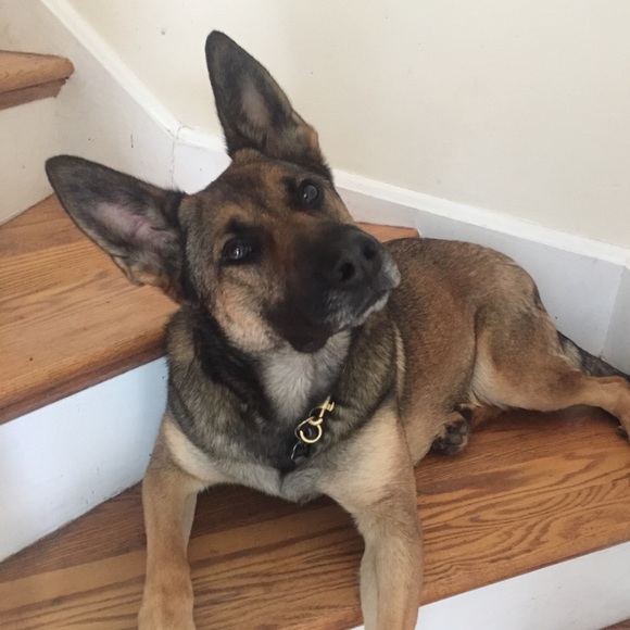 Meet your Posher, Jackie - Picture 1 of 1